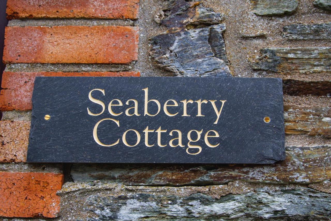 Polrunny Farm Seaberry Cottage With A Sea View And Log Burner Boscastle Exterior foto