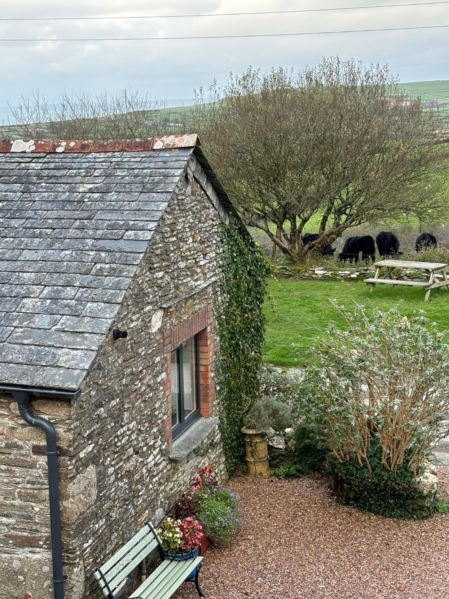 Polrunny Farm Seaberry Cottage With A Sea View And Log Burner Boscastle Exterior foto